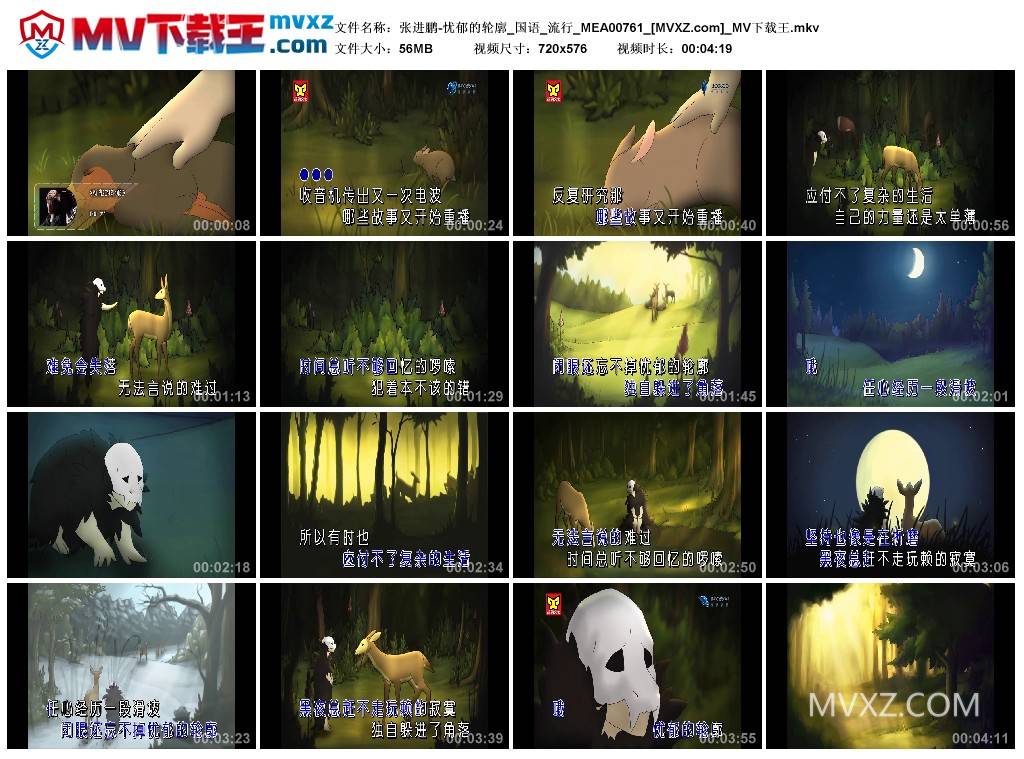 张进鹏-忧郁的轮廓_国语_流行_MEA00761